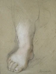 Studio di un piede (gessi neri, rossi, rosa e bianchi su carta grigiastra)